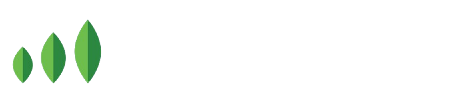 pp